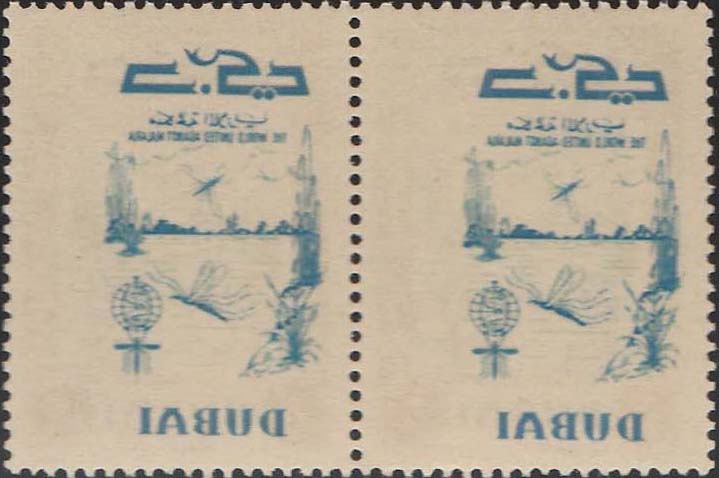 Dubai with Image on Back