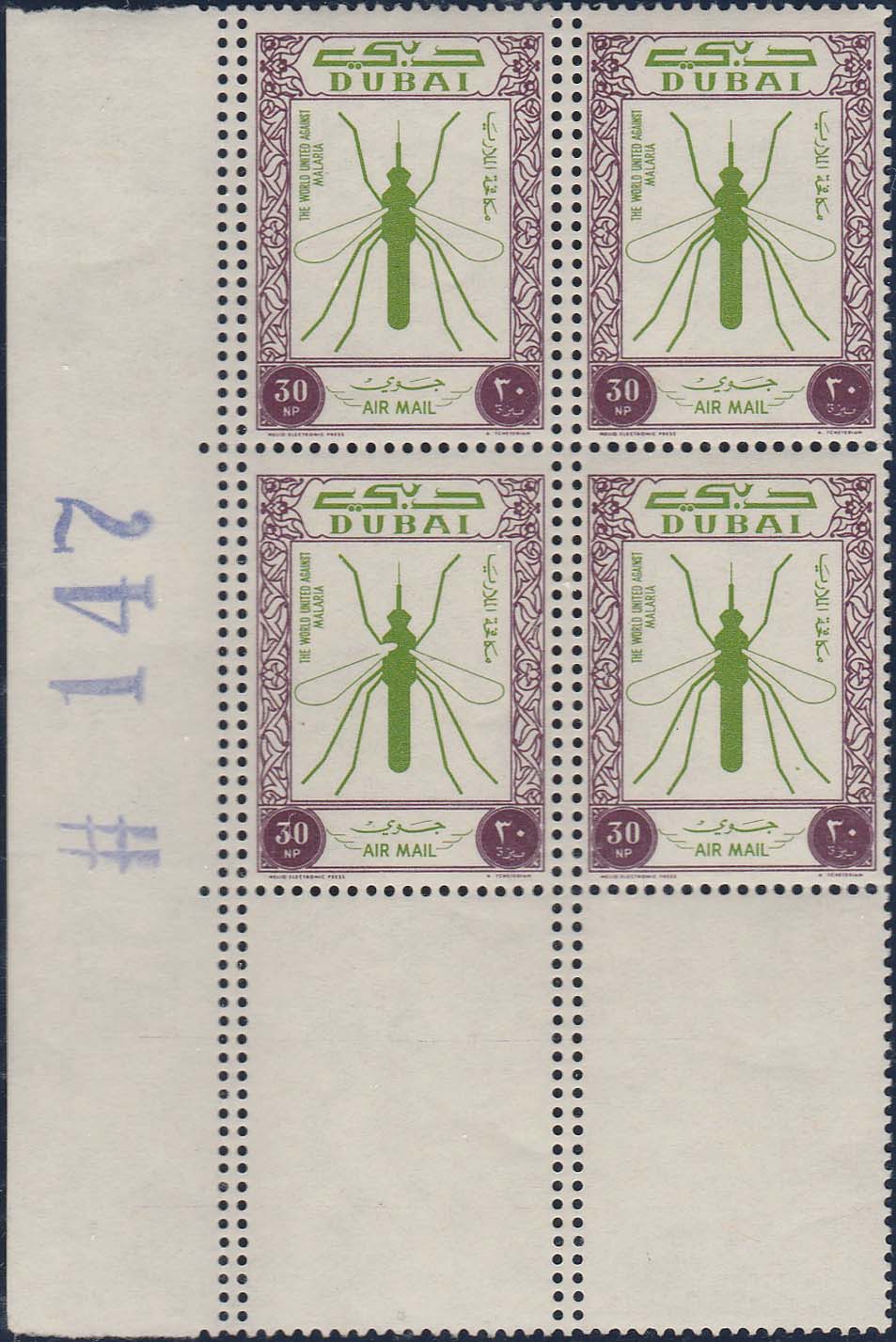 Dubai Scott C13 with Double Vertical Perforations