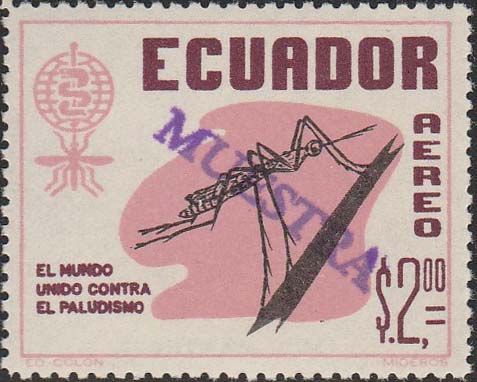 Ecuador C403 Muestra