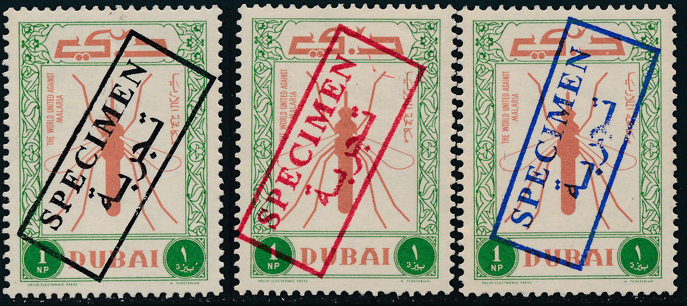 Dubai_Dubius_Specimens