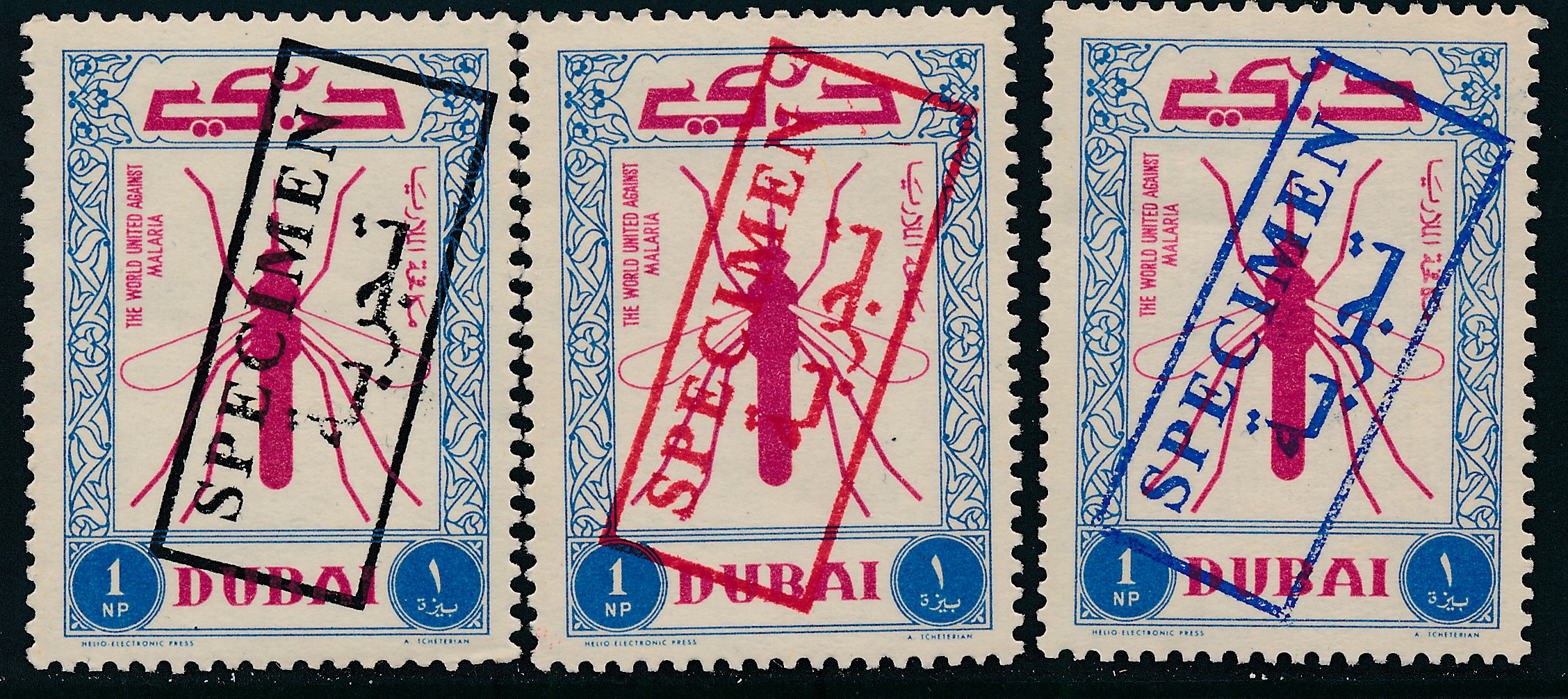 Dubai_Dubius_Specimens